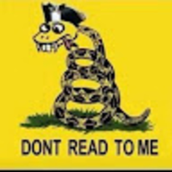 Meet your Posher, Joey - Picture 1 of 1